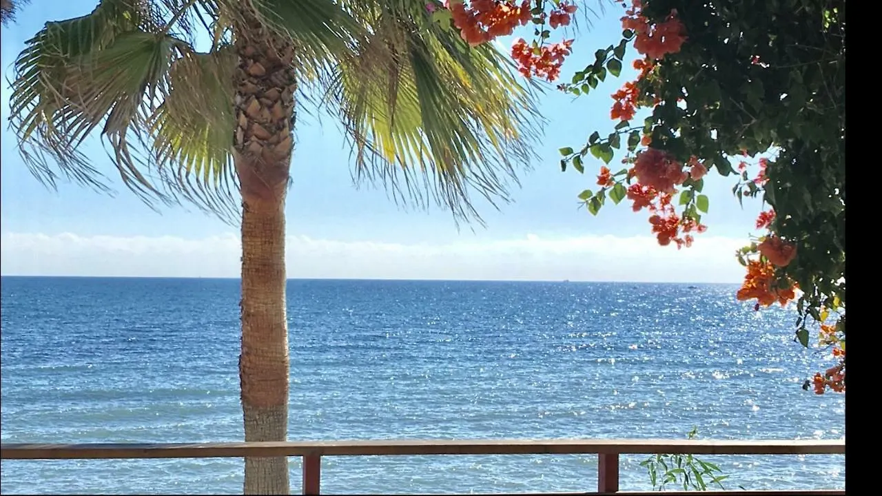 Mi Capricho A16 Beachfront Apartment Sitio de Calahonda 0*,